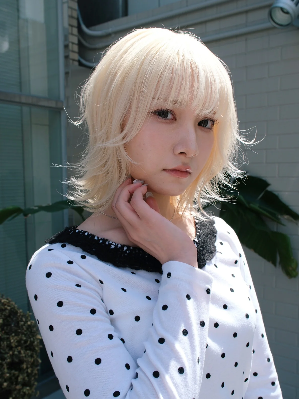 日々進化 - img 1